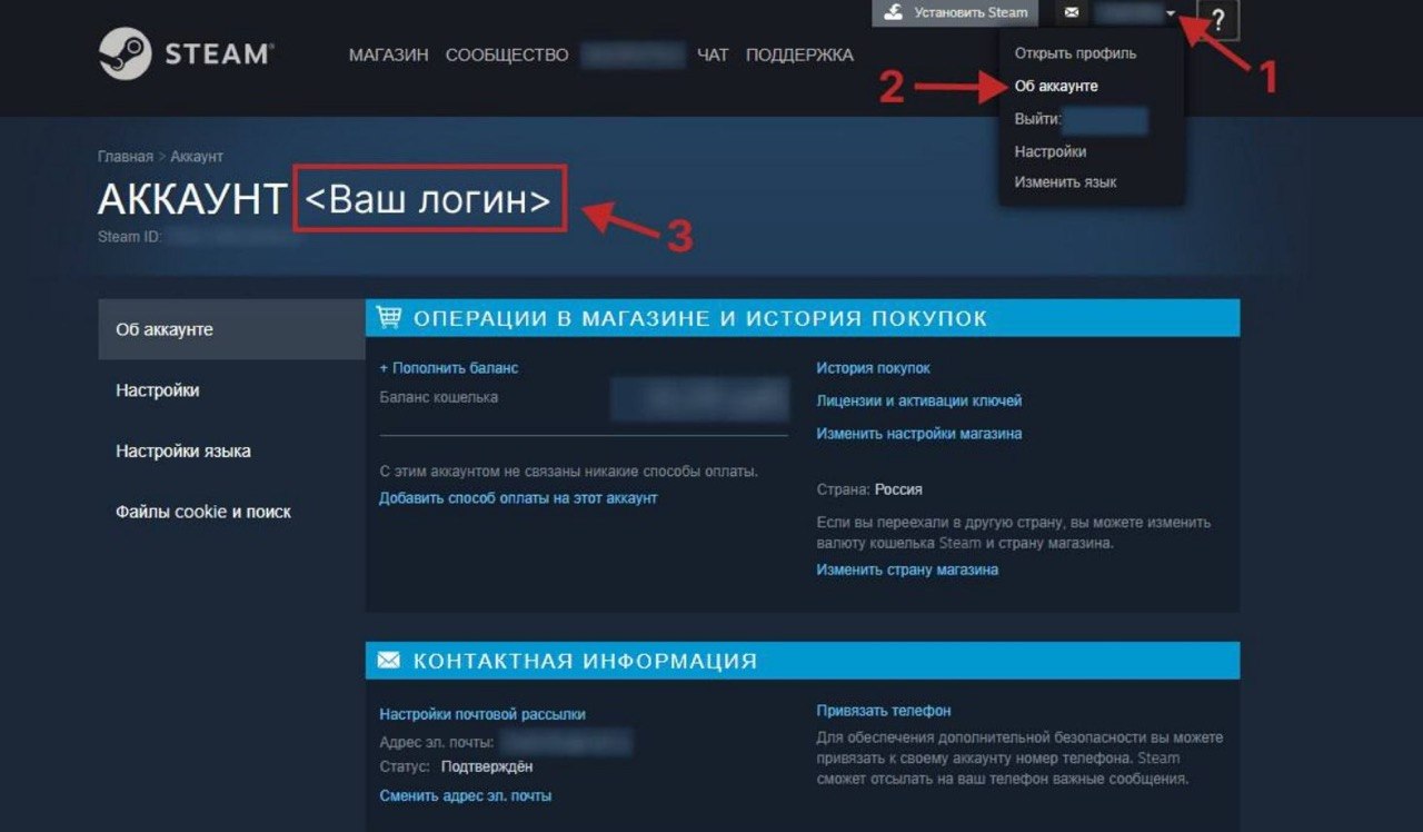 Где найти логин Steam